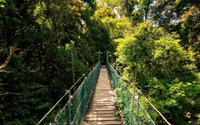 Discover the Best Natural Wonders on the Gold Coast