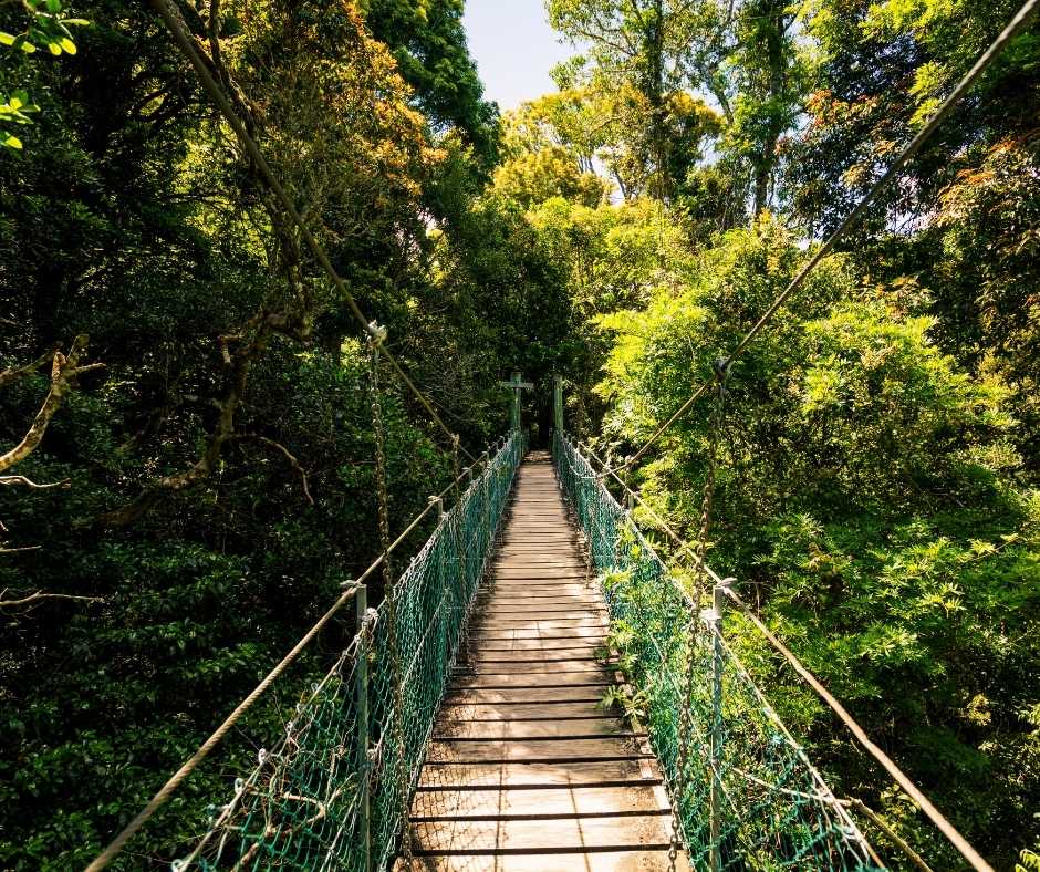 gold coast national park
