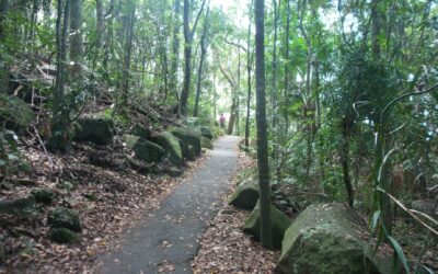 Burleigh on zero dollars: The Village free list